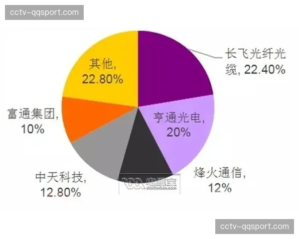 “深度调查：意大利本土付费电视市场饱和，意甲增长依赖海外已成定局”